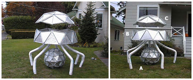 constructions on lawn